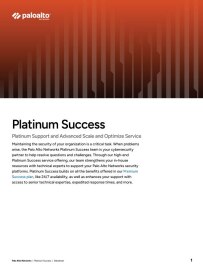 asset thumbnail