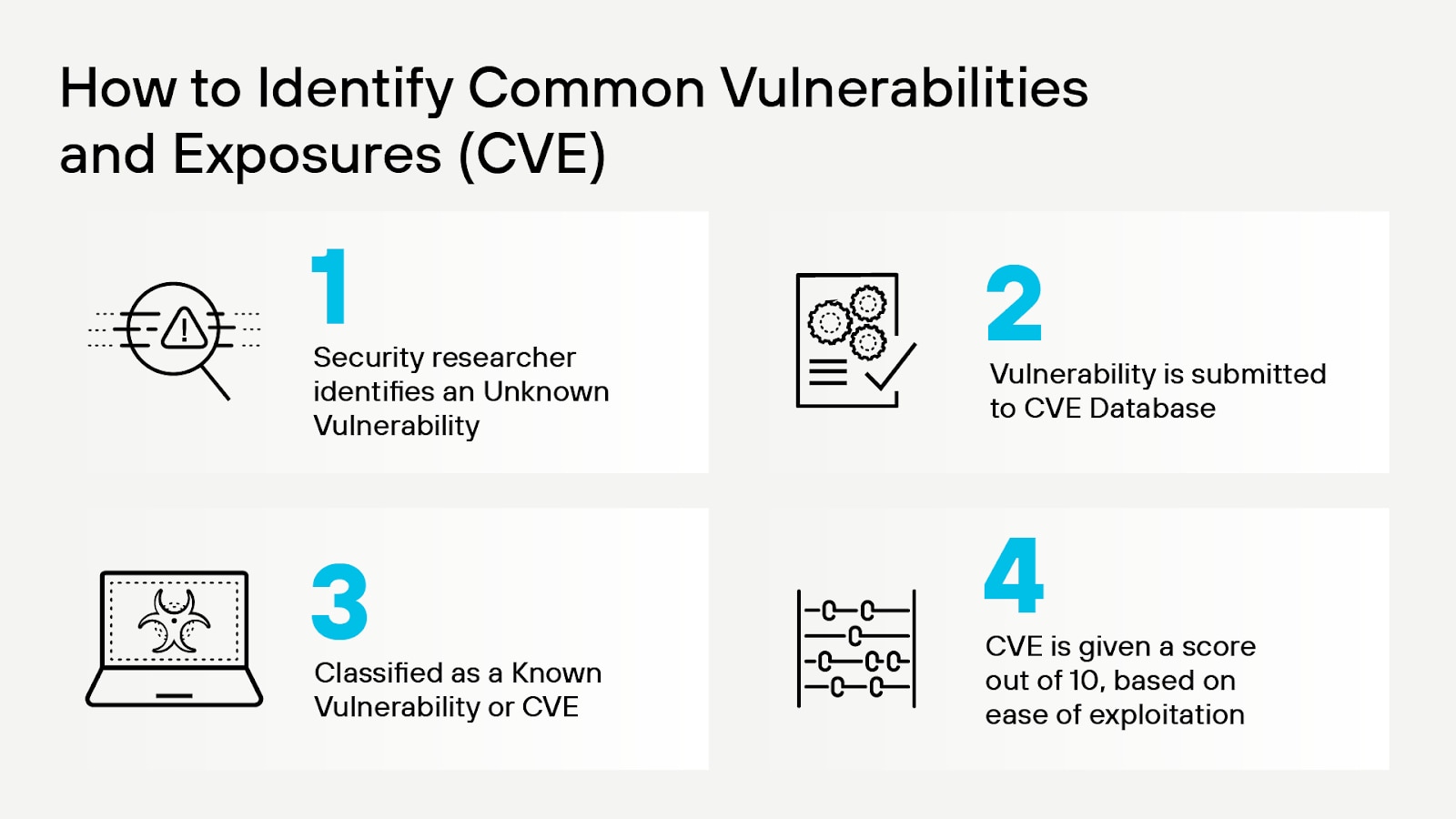 CVE identification process