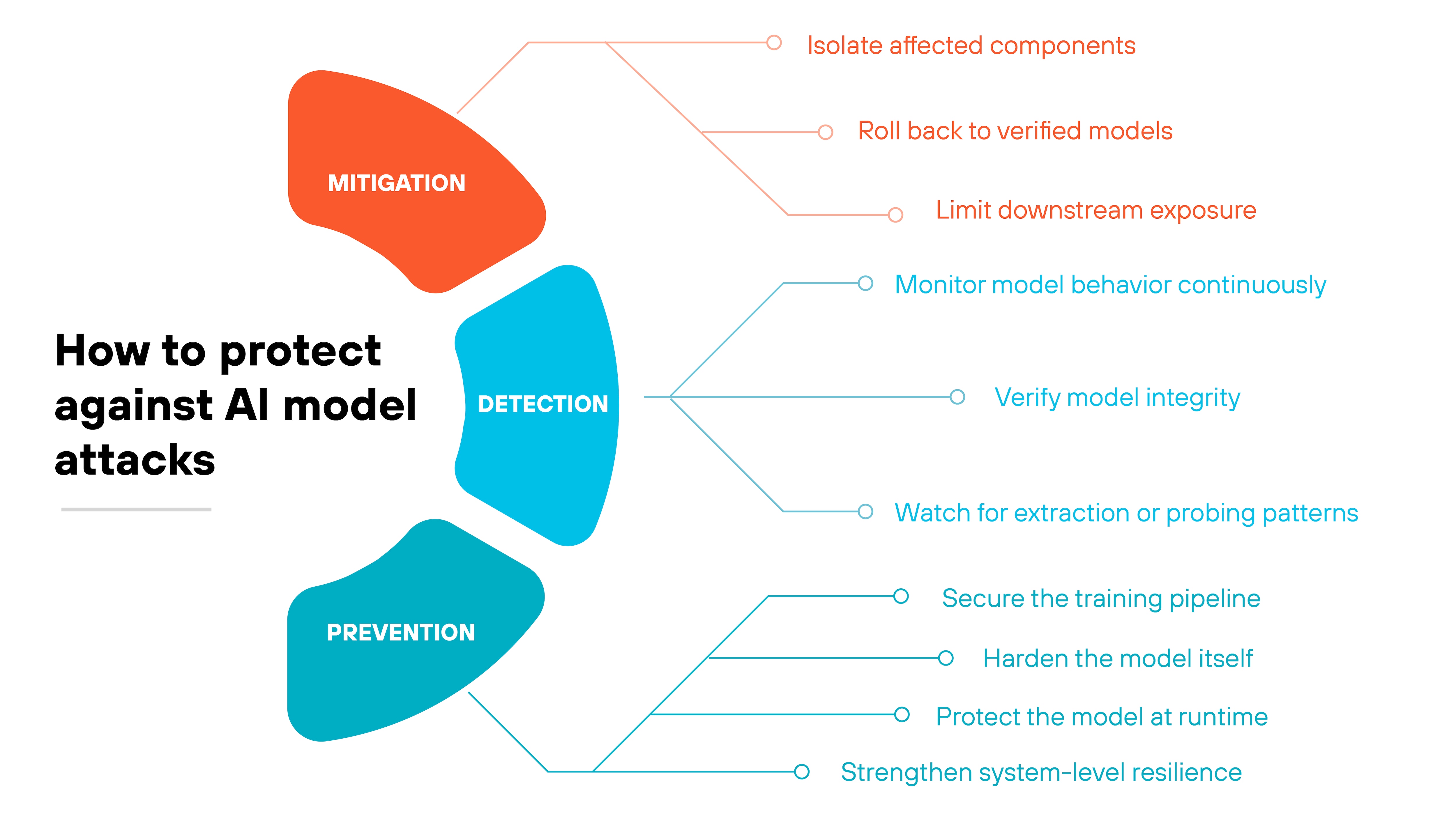 Infographic titled 'How to protect against AI model attacks' shows three curved, vertically stacked colored segments on the left labeled 'Mitigation' in orange, 'Detection' in blue, and 'Prevention' in teal. Each segment connects to a set of short action items arranged in horizontal lists on the right, linked with thin lines that match the segment's color. The orange 'Mitigation' segment connects to three items: 'Isolate affected components,' 'Roll back to verified models,' and 'Limit downstream exposure.' The blue 'Detection' segment connects to 'Monitor model behavior continuously,' 'Verify model integrity,' and 'Watch for extraction or probing patterns.' The teal 'Prevention' segment connects to 'Secure the training pipeline,' 'Harden the model itself,' 'Protect the model at runtime,' and 'Strengthen system-level resilience.' The left side of the graphic includes the heading 'How to protect against AI model attacks' in bold black text.